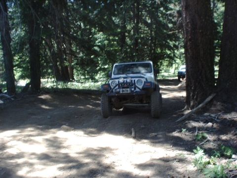 1978 Ford Bronco - A white Jeep Wrangler navigates a wooded trail with another vehicle visible further down the path.