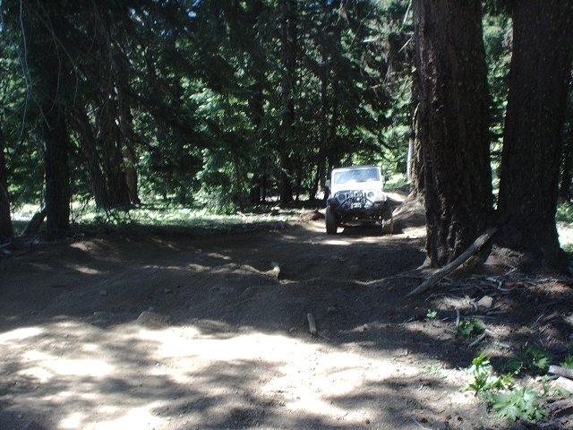 White off-road vehicle with aftermarket bumper driving on a dirt path through a forest