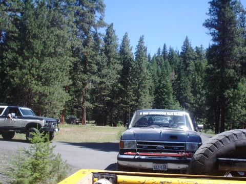 1978 Ford Bronco - Two Ford Broncos are seen parked in a wooded area on a sunny day.