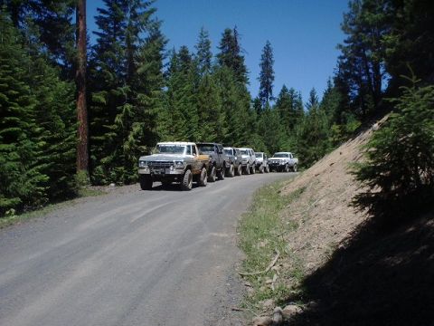 1978 Ford Bronco - A convoy of off-road vehicles, including a 1978 Ford Bronco, travels down a dusty forest road under a clear blue sky.