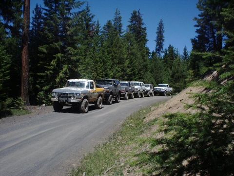 1978 Ford Bronco - A convoy of Ford Broncos and trucks travels down a forest road on a sunny day.