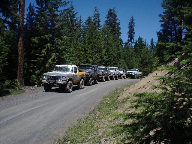 Line of Ford Broncos and trucks driving on a dirt road through a forest. The lead vehicle is a 1978 Ford Bronco