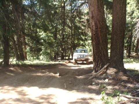 1978 Ford Bronco - A white SUV navigates a wooded area on a dirt path.