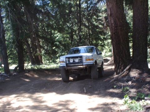 1978 Ford Bronco - This white Ford Bronco is seen driving on a dirt road surrounded by trees.
