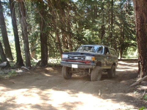 1978 Ford Bronco - Ford Bronco navigates a forest trail, showing its off-road capabilities.