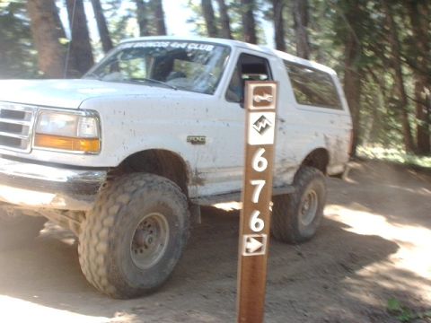 1978 Ford Bronco - A white Ford Bronco with large off-road tires navigates a wooded dirt trail, displaying a "Broncos 4x4 Club" sticker.
