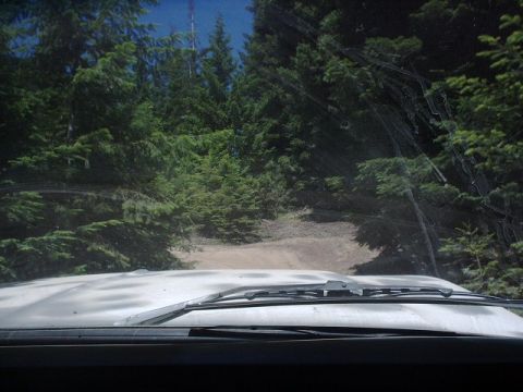 1978 Ford Bronco - Driving on a dirt road through a forest, seen from the interior of a vehicle.