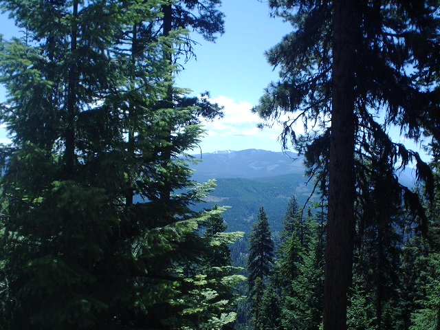 view of mountains and trees under a blue sky