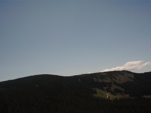 Mountain landscape with a dirt road winding through trees under a clear blue sky