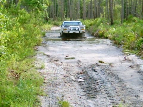 1992 Ford Bronco - White Ford Bronco navigates a water-filled dirt path surrounded by trees and vegetation.