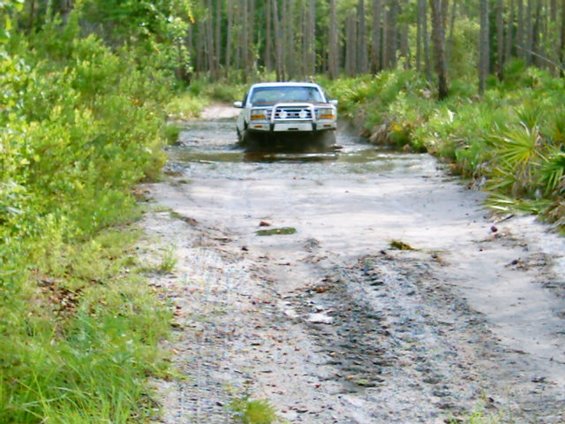 White 4x4 with brush guard driving through a flooded sandy trail in pine woods