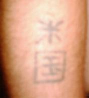 1989 Ford Bronco - Right forearm