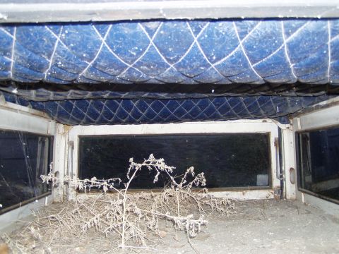1967 Ford Bronco - Interior view of a vehicle showing blue quilted lining and dry brush on the floor.