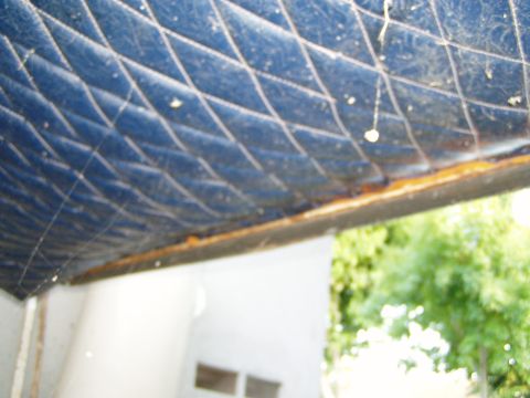 1967 Ford Bronco - Close-up of a blue, diamond-stitched interior door panel with some dust and cobwebs visible.