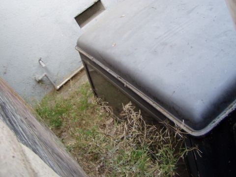1967 Ford Bronco - Large plastic storage container situated outdoors near a building wall and overgrown grass.