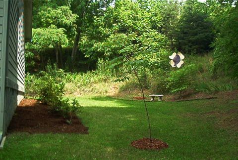1985 Ford LTD Crown Victoria - A tranquil backyard scene features a young tree, a stone bench, and lush greenery under a bright sky.