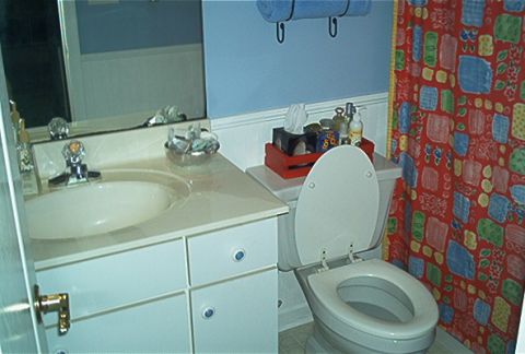 1985 Ford LTD Crown Victoria - Interior view of a bathroom a sink, toilet, and a patterned shower curtain.