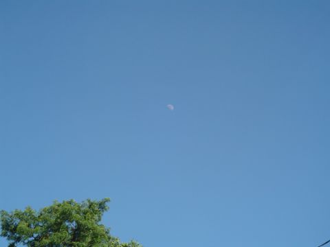 1979 Ford Bronco - Daytime sky with the moon and a tree. Supermotors.net logo is visible.