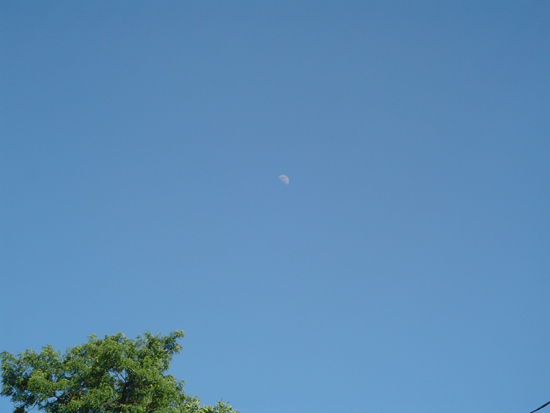 Blue sky with a crescent moon visible, and the top of a green tree in the lower left corner. Supermotors.net logo in the bottom right