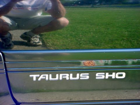 1989 Ford Taurus - The 'TAURUS SHO' badge is visible on the side of the vehicle, with rust appearing above the chrome trim.