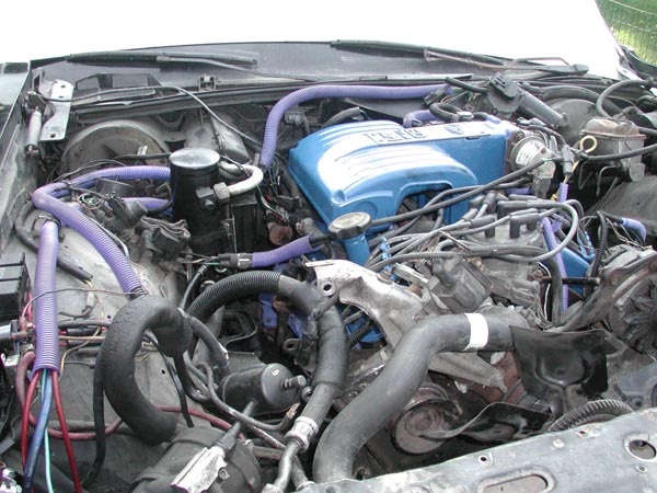 Engine bay with blue Ford intake plenum and purple wire loom on a small-block V8