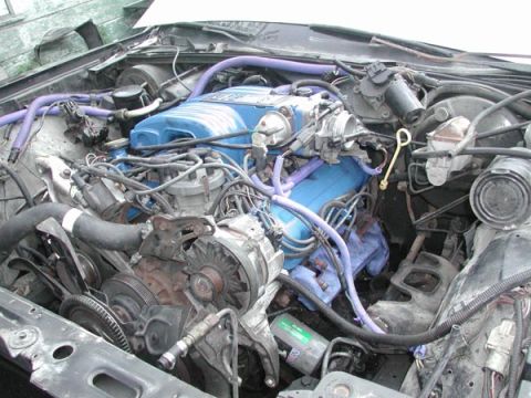 1987 Lincoln Town Car - Close-up view of a vehicle's engine bay, blue valve covers and numerous hoses and wires.
