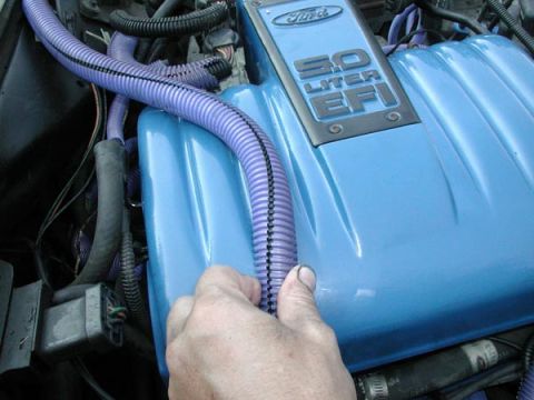 1987 Lincoln Town Car - Close-up of a Ford 5.0 Liter EFI engine valve cover with a hand adjusting a purple wire loom.