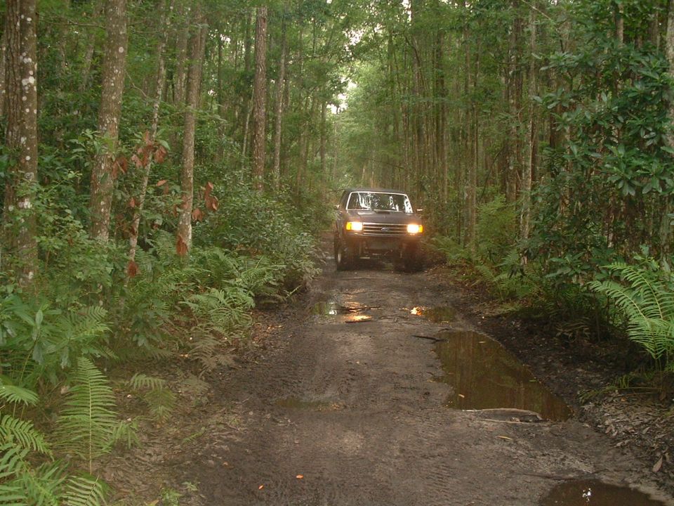 1995 Ford Bronco driving down a muddy forest road with puddles