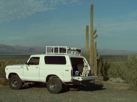 1979 Ford Bronco photo