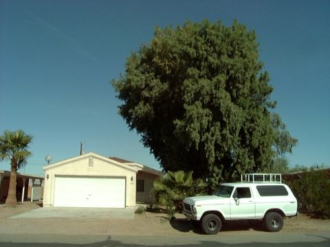 1979 Ford Bronco photo