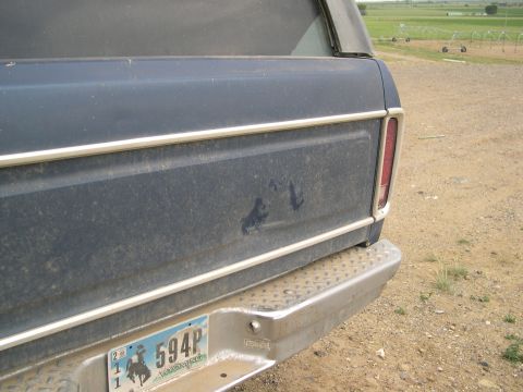 1978 Ford Bronco - Rear view of a 1978 Ford Bronco showing the quarter panel, bumper, and Washington license plate.