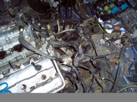 1996 Ford Probe - A close-up view of a cluttered engine bay, showing numerous wires, hoses, and engine parts.