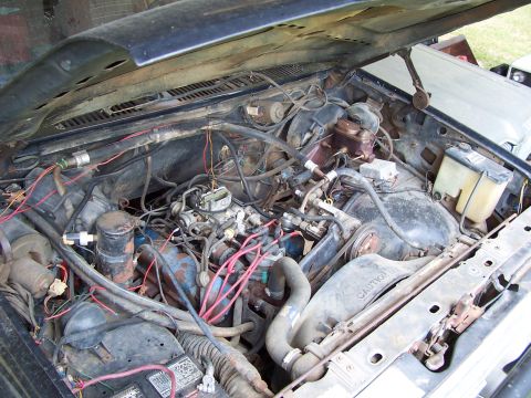1984 Ford Bronco photo