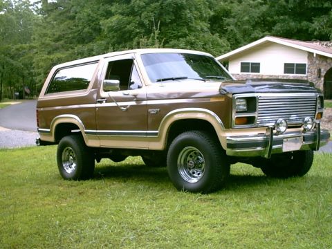 1979 Ford F-100 photo
