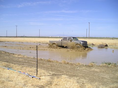 1986 Ford Bronco II