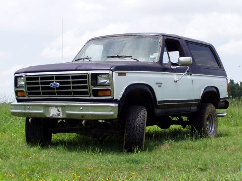 1983 Ford Bronco - Driver's-side front three-quarter view of a two-tone white and dark maroon/brown full-size Ford Bronco parked in tall grass under a cloudy…