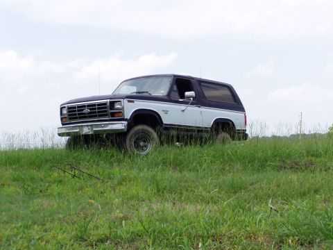 1983 Ford Bronco - A two-tone blue and white Ford Bronco sits on a grassy incline under a cloudy sky.