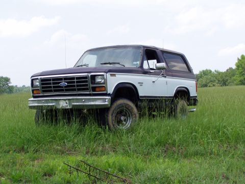 1983 Ford Bronco - Driver-side three-quarter front view of a lifted two-tone maroon-over-white full-size Ford Bronco with hardtop, standing in a field of tall…