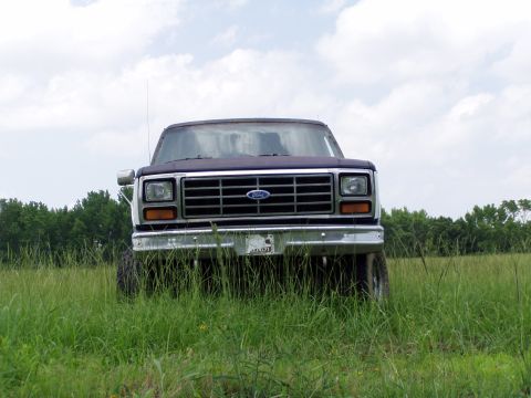 1983 Ford Bronco - Head-on front view of a lifted 1980s Ford truck parked in tall green grass under a cloudy sky, with a black eggcrate grille and blue Ford o…