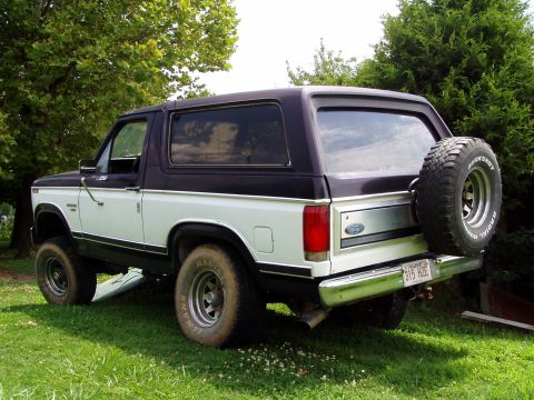 1983 Ford Bronco - Three-quarter rear view of a two-tone dark purple and white full-size Ford Bronco parked on grass under trees, with a removable hardtop, ti…