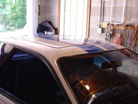 1993 Ford Probe “kanuk93gt”
