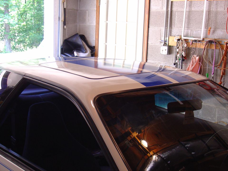 1993 Ford Probe “kanuk93gt”