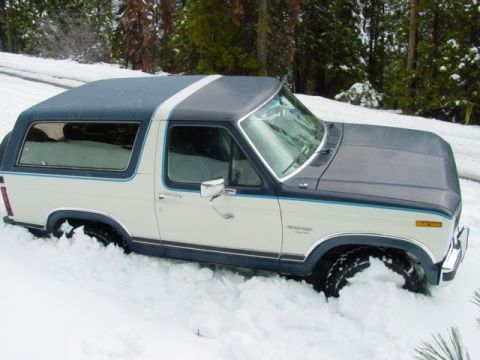 1986 Ford Bronco - burried