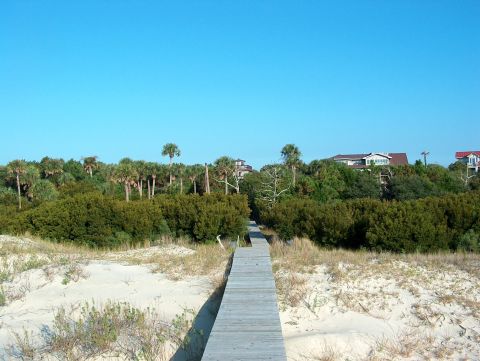 1998 Ford Taurus - A boardwalk path winds through coastal dunes and greenery towards distant homes.