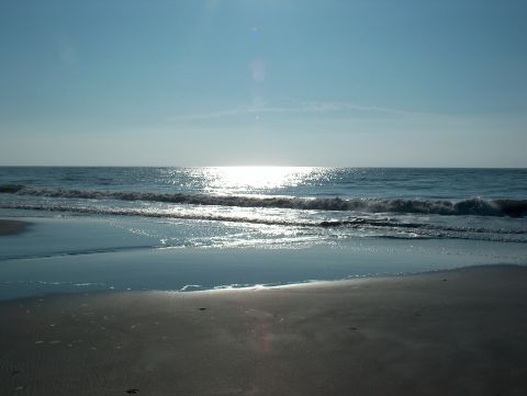 1998 Ford Taurus - A tranquil beach scene with gentle waves rolling onto the shore under a clear blue sky.