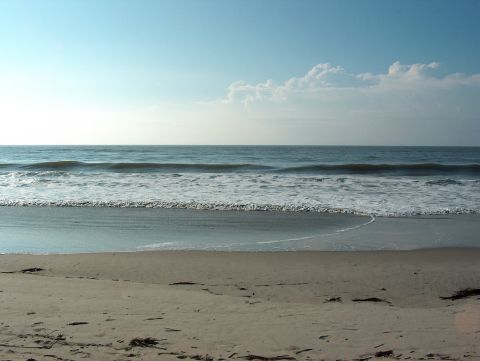 1998 Ford Taurus - A tranquil beach scene with gentle waves lapping the shore under a partly cloudy sky.