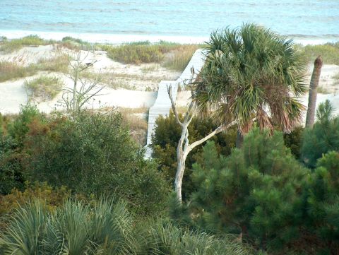 1998 Ford Taurus - A view of a beach with dunes, vegetation, a wooden boardwalk, and the ocean beyond.