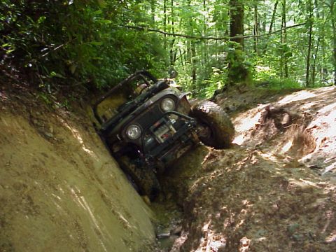 1985 Ford Bronco - Tony's Jeep