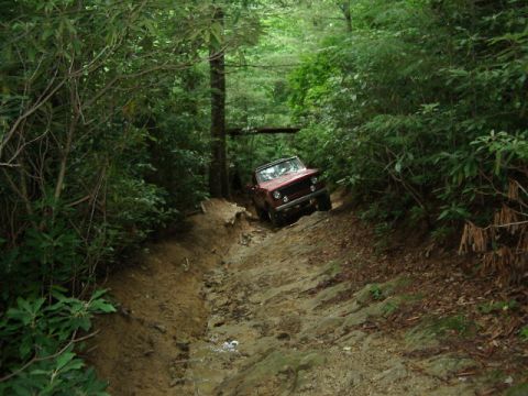 1985 Ford Bronco - Peter's Scout