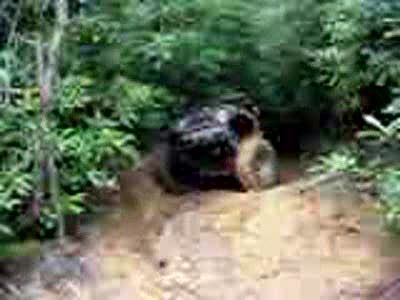 1985 Ford Bronco - Tony on hill. Yeh he made it.